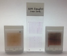 1mm (100 Core) Arraymold  x 2 Blocks on one slide